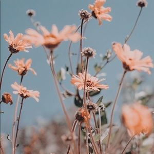 Meet your Posher, Aimee